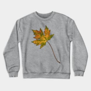 Maple leaf in autumn Crewneck Sweatshirt